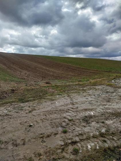Teren de 2900 mp, în Crișeni