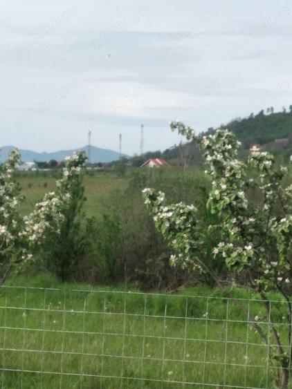 Teren de 2500 mp, în Central