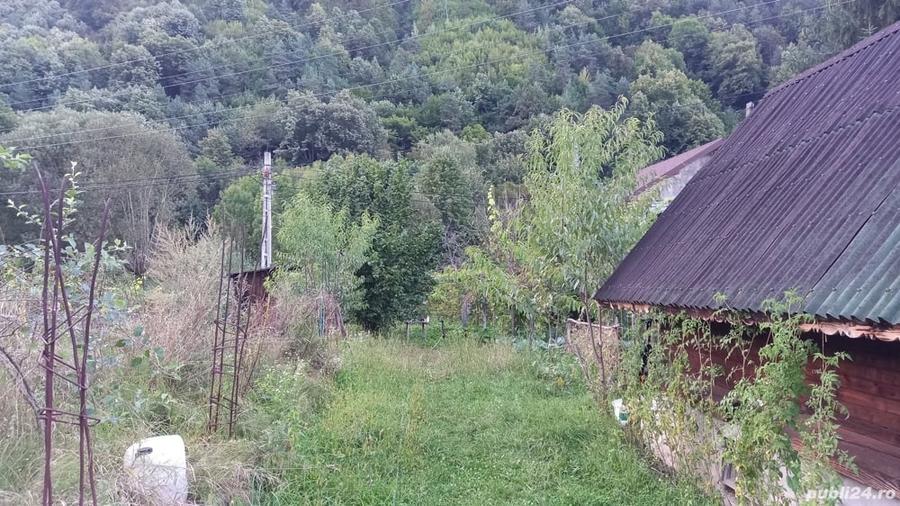 Teren în Păscoaia