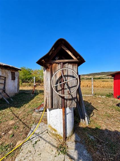 Casă individuală cu 4 camere cu Teren 5723 Mp în Bistra