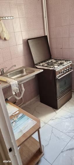 Teiul Doamnei, Parc Tei & Plumbuita, renovat, reabilitat, debara, 1% - 8