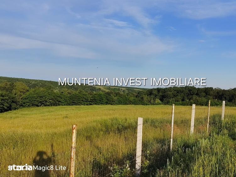 Teren de 935 mp, în Moșoaia