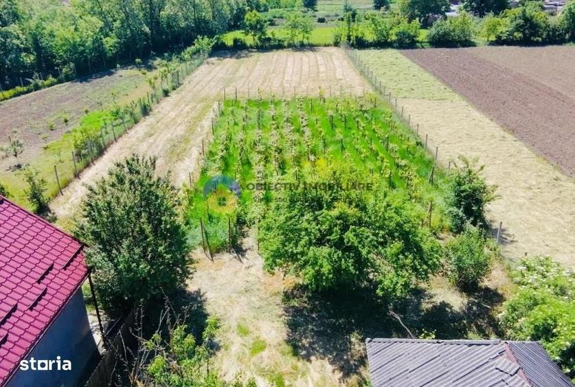 Casă cu 2 camere în Rocna