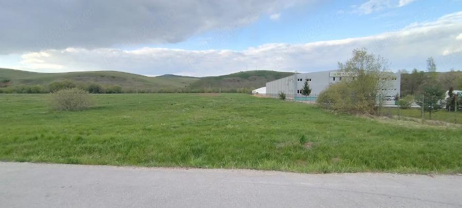 Teren de 4653 mp, în Căpușu Mare