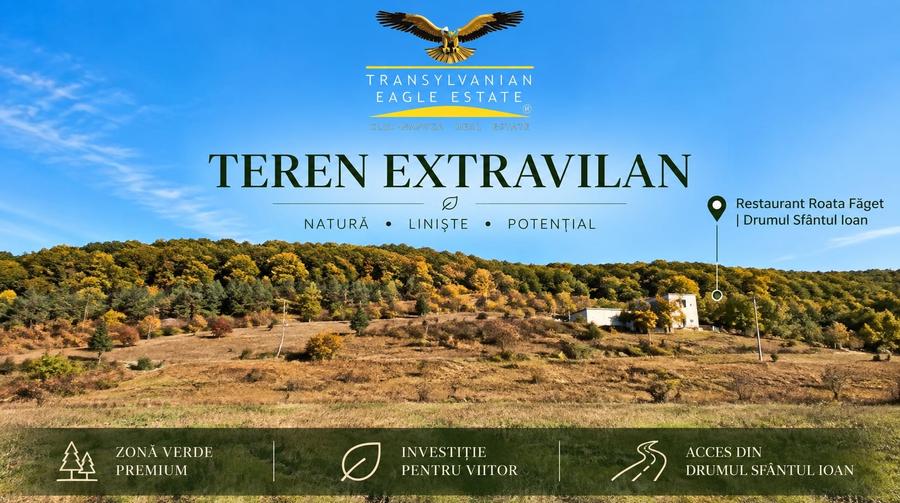 Teren agricol extravilan de 2577 mp, în Făget