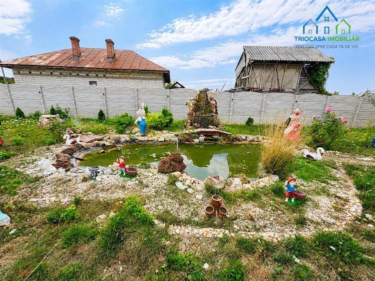 Casă cu 3 camere cu Teren 1000 Mp în Murgași