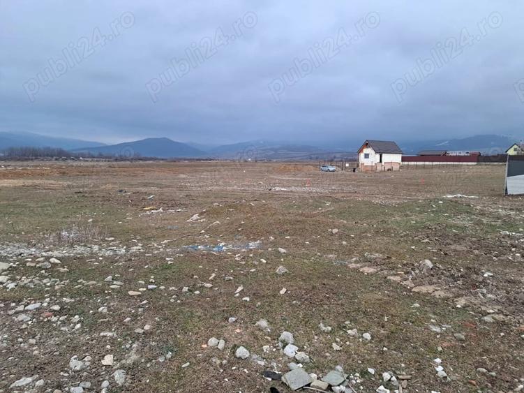 Teren de 1450 mp, în Cărpiniș