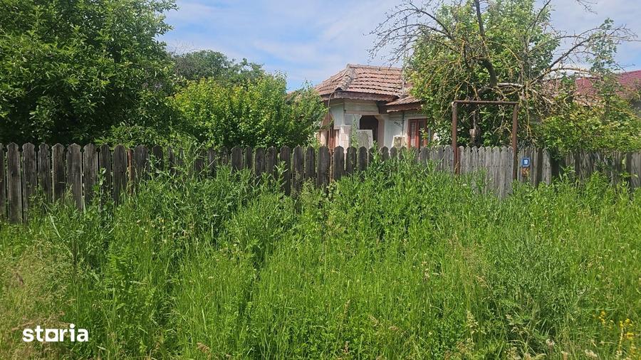 Casă cu Teren 2240 Mp în Drăgănești