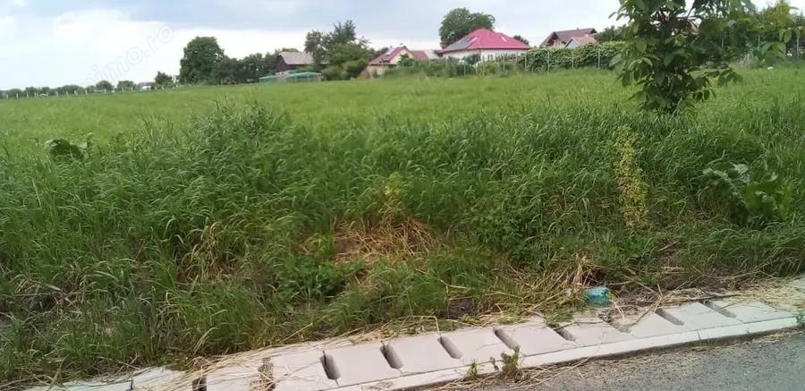 Vand teren intravilan plan 1530(se poate injumata?imp front 29 metri in salcea judet suceava plopeni - 2
