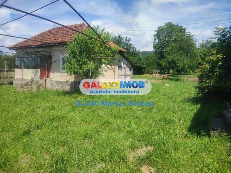 Teren de 4700 mp, în Voinești