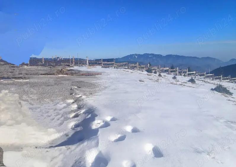 Teren de 2000 mp, în Central