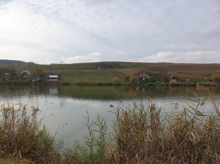 Teren de 12000 mp, în Florești