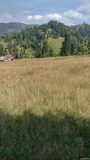 Teren de 18600 mp, în Panaci
