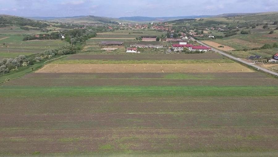 Teren de 10600 mp, în Borșa