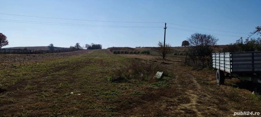 Teren de 3200 mp, în Schineni (Sascut)