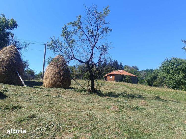 Teren de 10378 mp, în Brebu