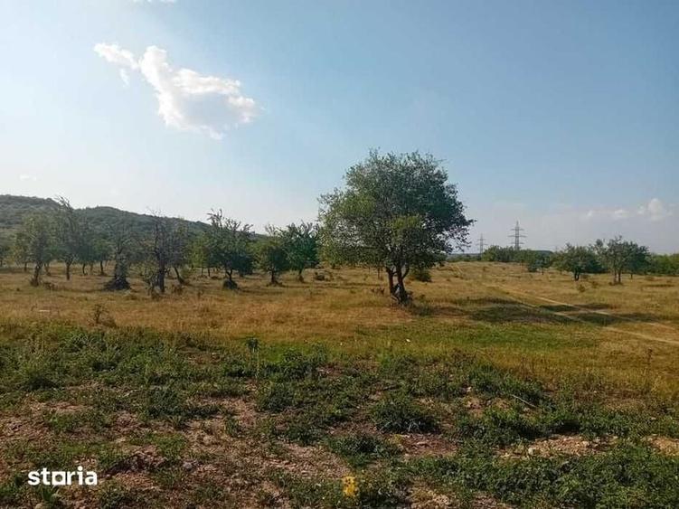 Teren de 15000 mp, în Filipeștii de Pădure