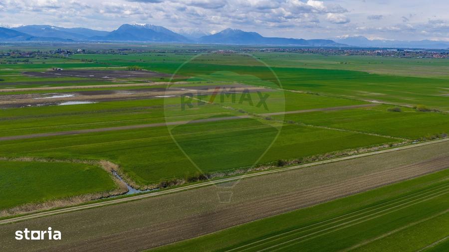 Teren de 4000 mp, în Prejmer