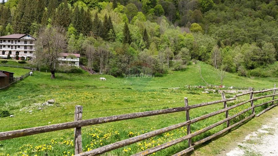 Intravilan | 10.000 mp| Satic-Rucar | Acces facil | Poten?ial excelent