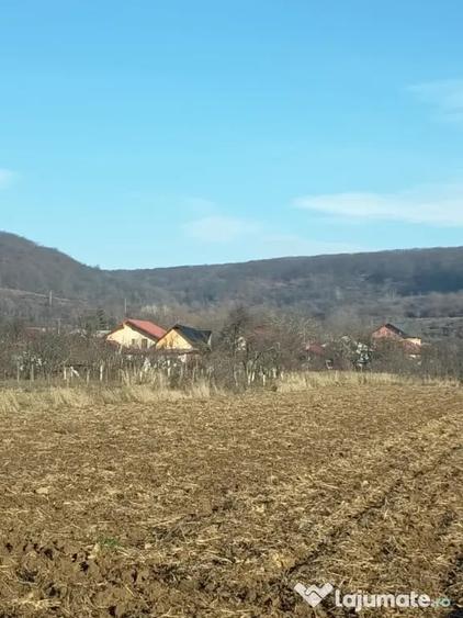 Teren intravilan de vanzare - 1