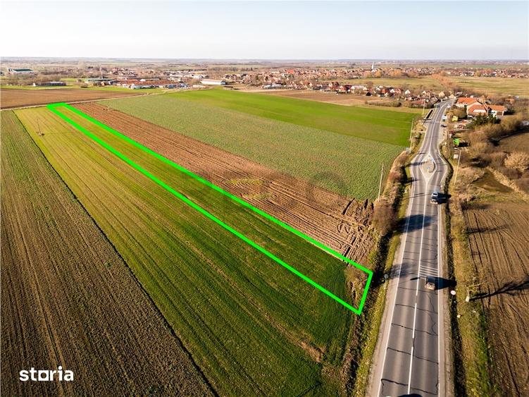 Teren de 5000 mp, în Tămășeu