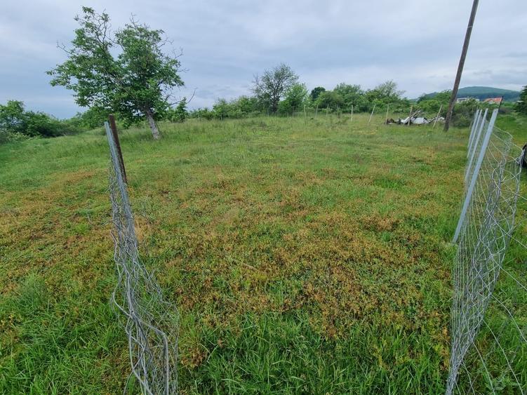 Teren Construcții de 676 mp, în Micești