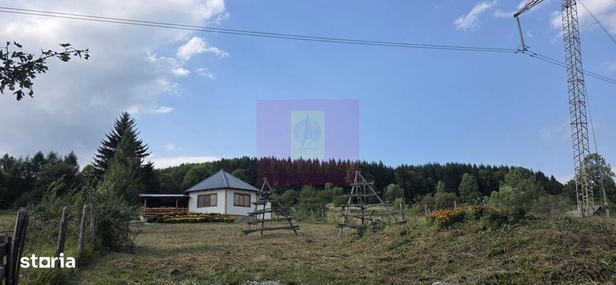 Teren intravilan de vanzare 3500 mp in Valea Doftanei - 3