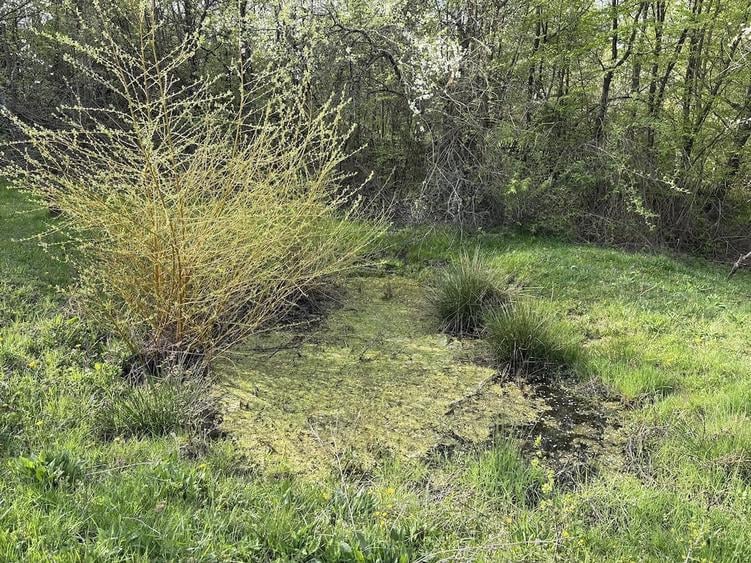 Teren de 5200 mp, în Măncioiu