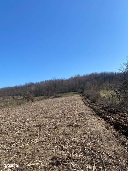 Teren de vanzare 11.000 mp, acces asfaltat - 5