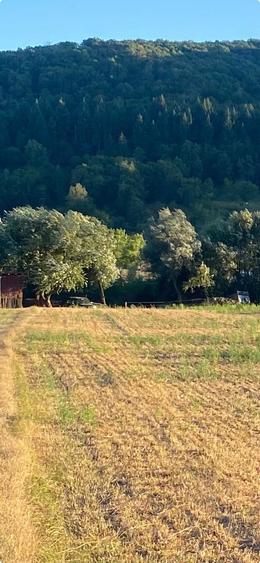 Teren de 2700 mp, în Gilău