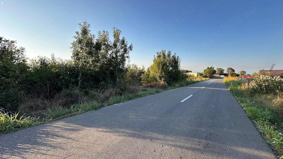 Teren de 6700 mp, în Olteni (Uliești)