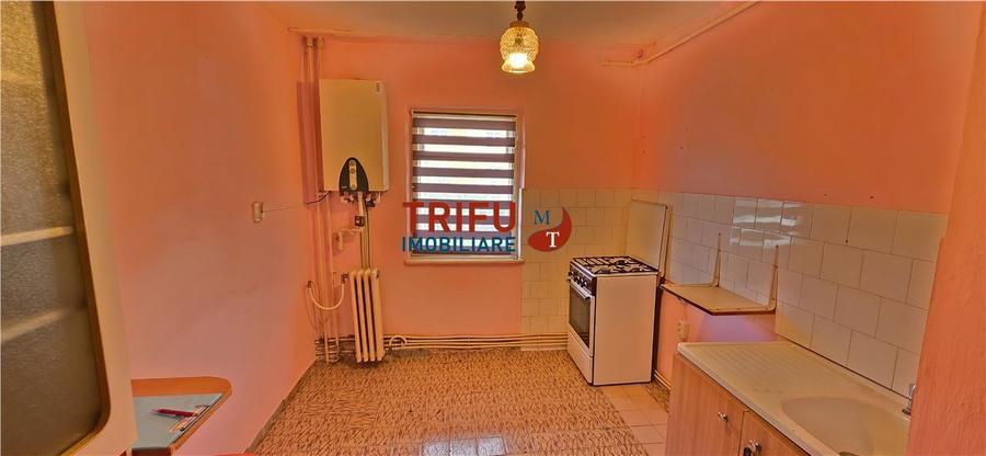 Apartament cu 2 camere decomandat în Cetate