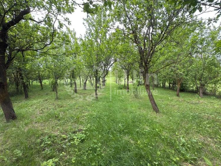 Teren Construcții intravilan de 2500 mp, în Aiton