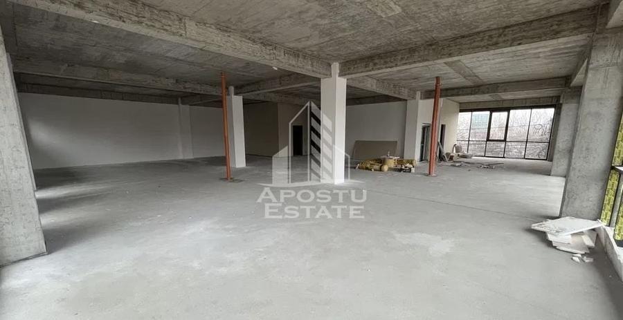 Spațiu comercial, de 1,000 mp, în Torontalului