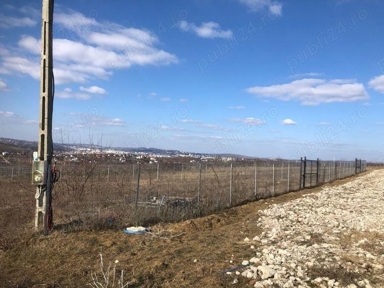Teren de 1000 mp, în Bucium