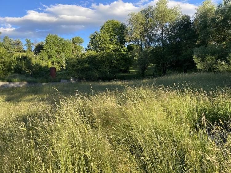Teren de 2000 mp, în Sohodol