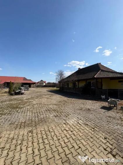Teren în Ocna Șugatag