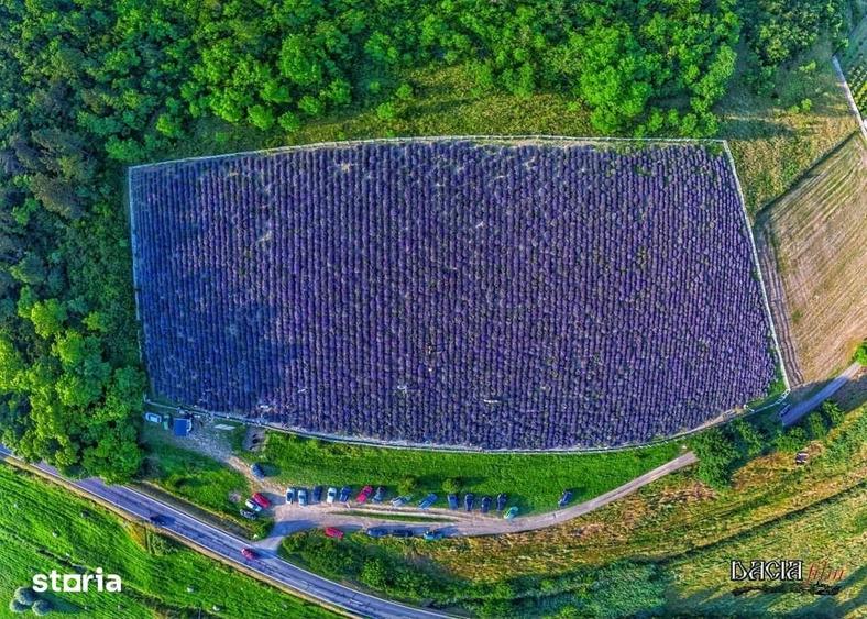 Teren de 8000 mp, în Central