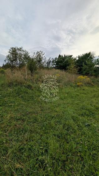 Teren Construcții intravilan de 1180 mp, în Sud