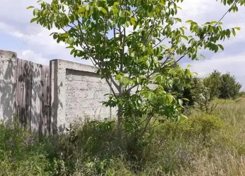 Teren de 1600 mp, în Dragomirești-Vale