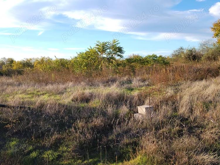 Teren de 3712 mp, în Saraiu