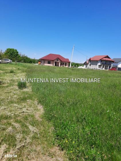 Teren de 630 mp, în Albota