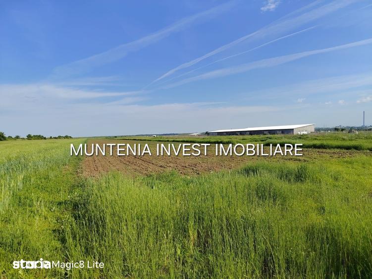 Teren de 11197 mp, în Moșoaia