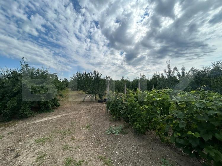 Teren Construcții intravilan de 6796 mp, în Crângurile de Jos