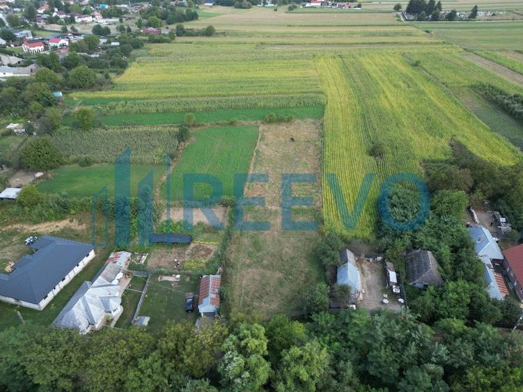 Teren agricol intravilan de 4138 mp, în Blăgești