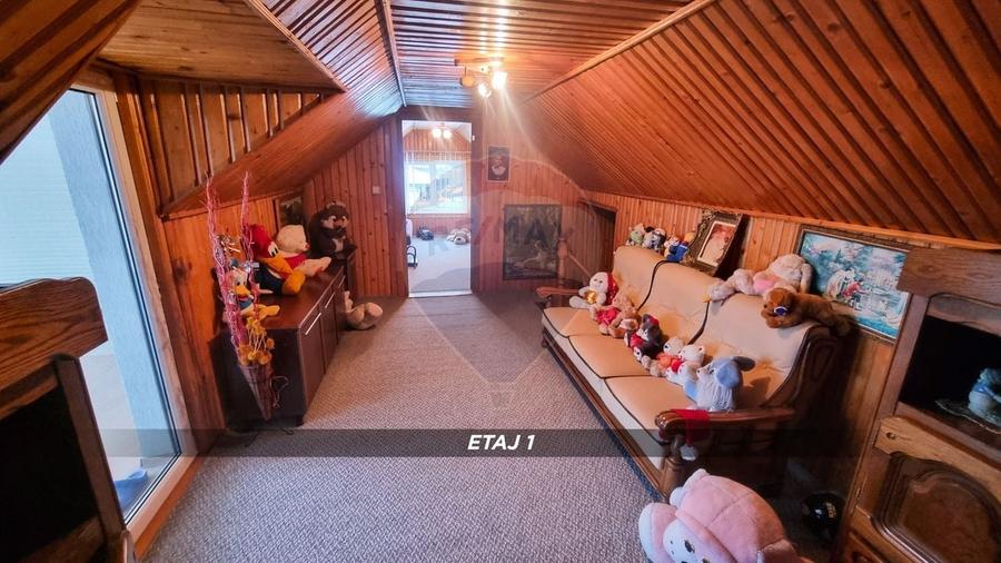 Casă / Vilă cu 10 camere de vânzare în SIGHETUL MARMATIEI zona Central - 35