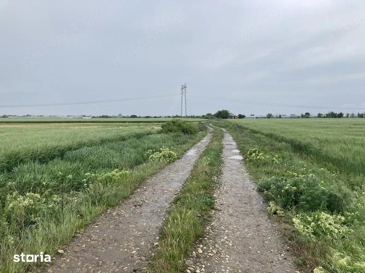 Teren de 4801 mp, în Săbăreni