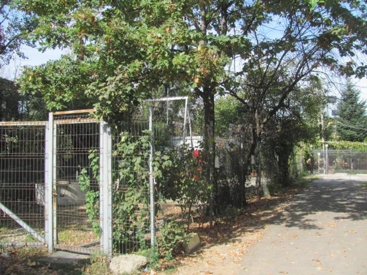 Teren Construcții intravilan de 3500 mp, în Alexandriei