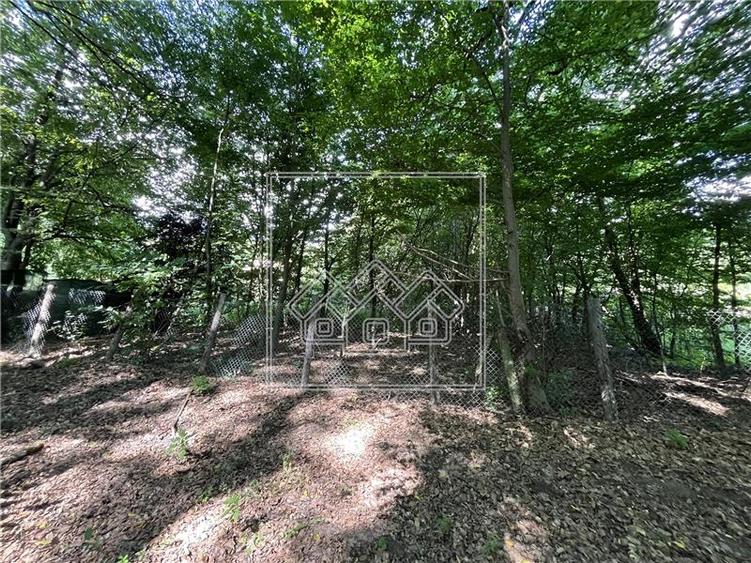 Teren agricol extravilan de 1500 mp, în Central