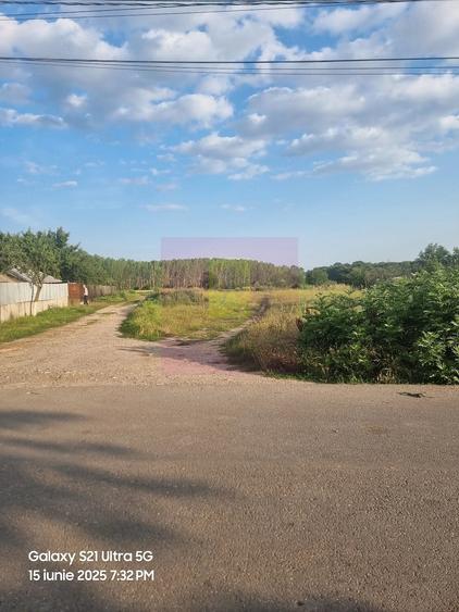 Teren de 2150 mp, în Teișori